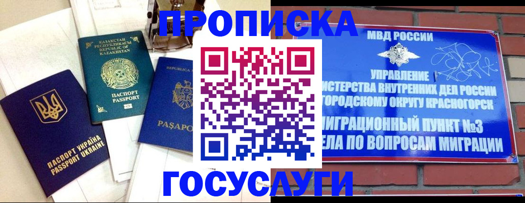 купить прописку в Новодвинске